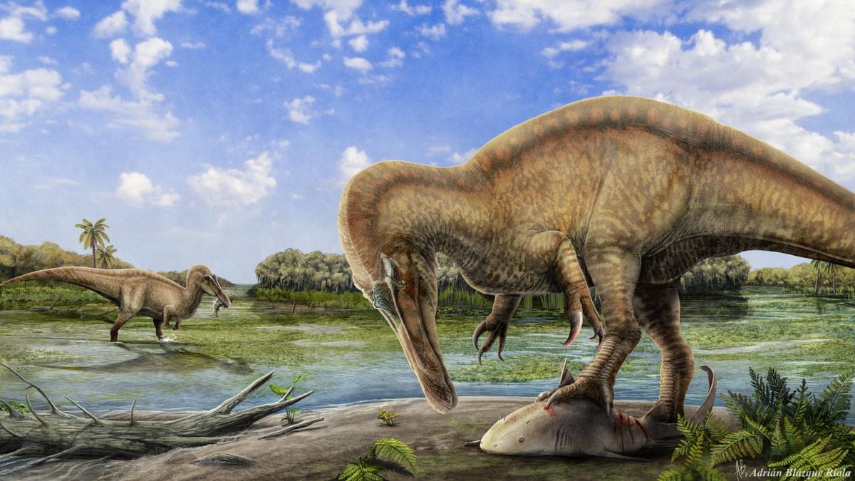 La “cazadora del lago”, un gran dinosaurio carnívoro hallado en La Rioja y único en el mundo | Ciencia