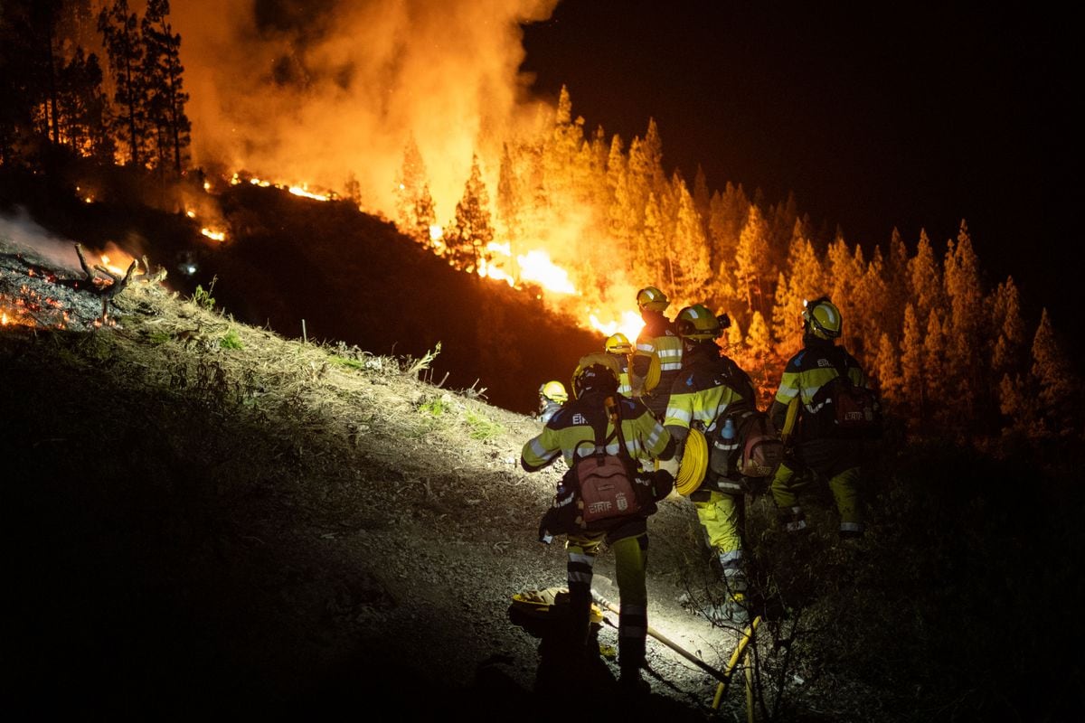 El Gobierno aprueba el estatuto de bomberos y agentes forestales para reforzar su labor ante el cambio climático | Clima y Medio Ambiente