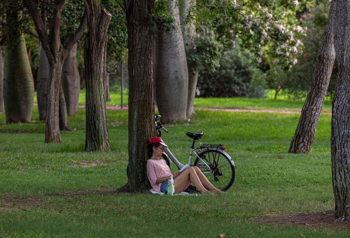 La menopausia, a debate: un análisis advierte de la excesiva medicalización de este proceso vital | Salud y bienestar
