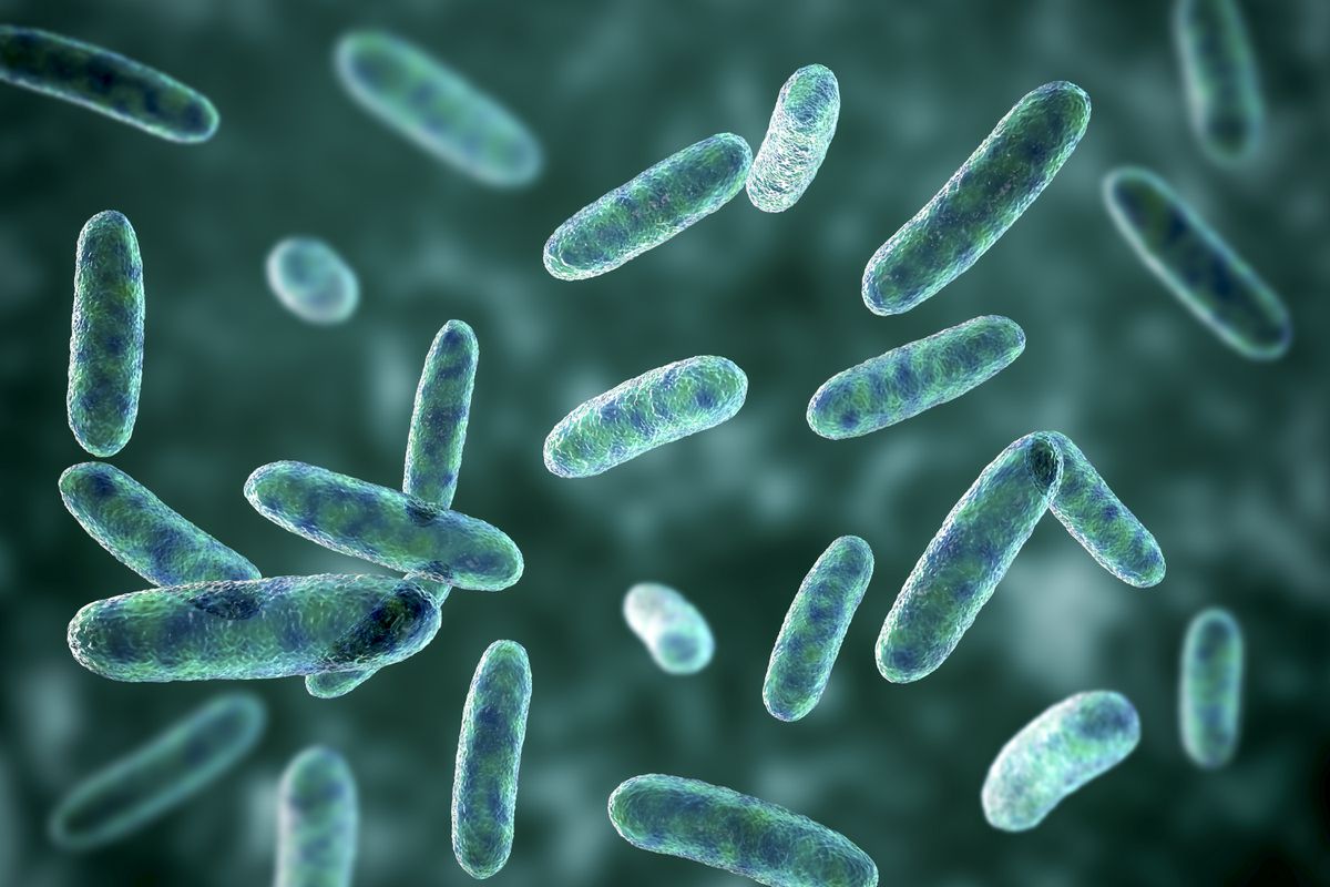 Los test de microbioma de venta al público no son útiles | Salud y bienestar