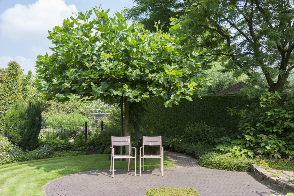 Sillas plásticas para restaurantes y bares en Panamá